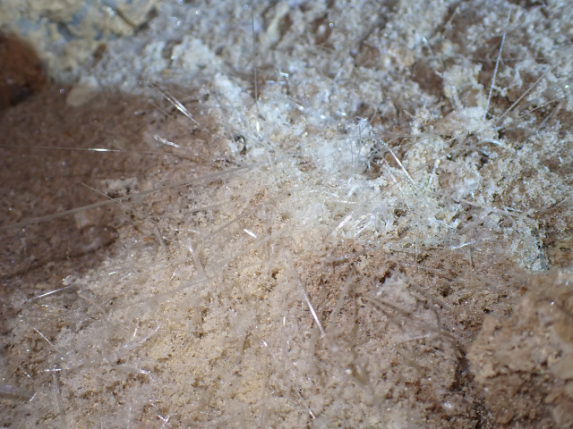 Epsomita (MgSO₄·7H₂O), cristales finos y alargados en el karst de yesos de Sorbas, mineral raro que indica condiciones geoquímicas únicas en cueva